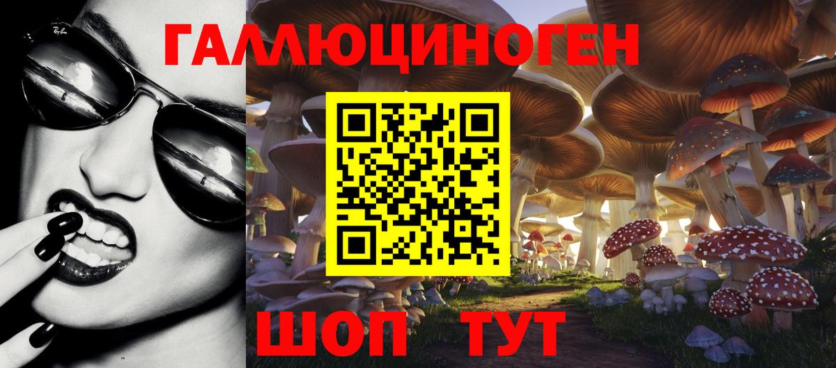 Галлюциногенные грибы прущие грибы Ачинск